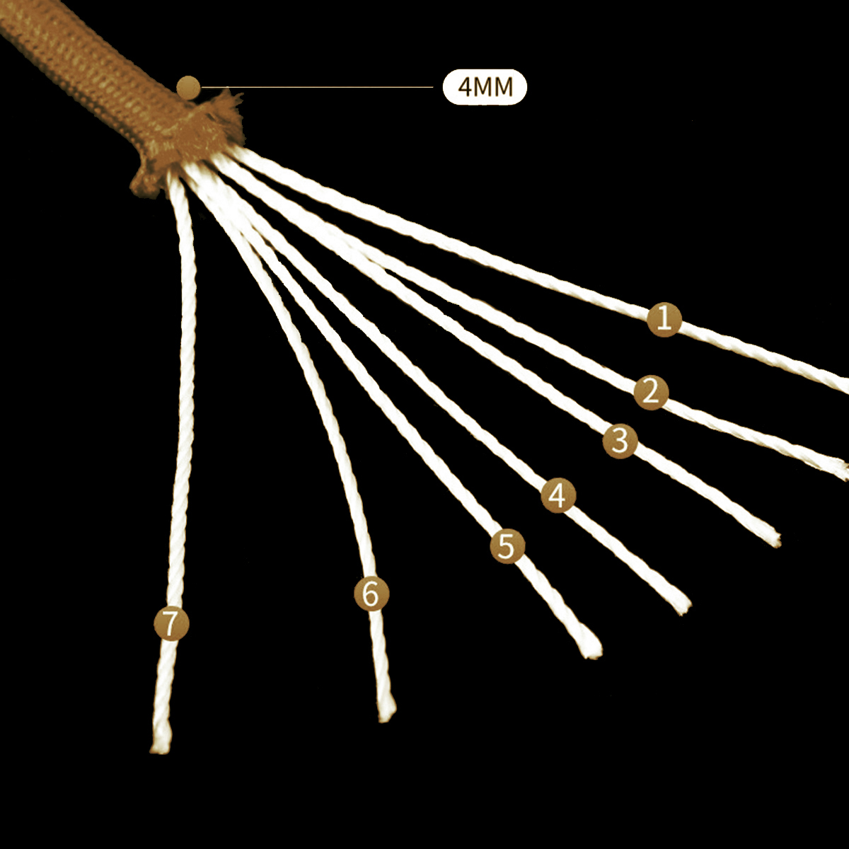 550 Paracord Rope Parachute Co - Para Cord 1000Ft のレビューと価格